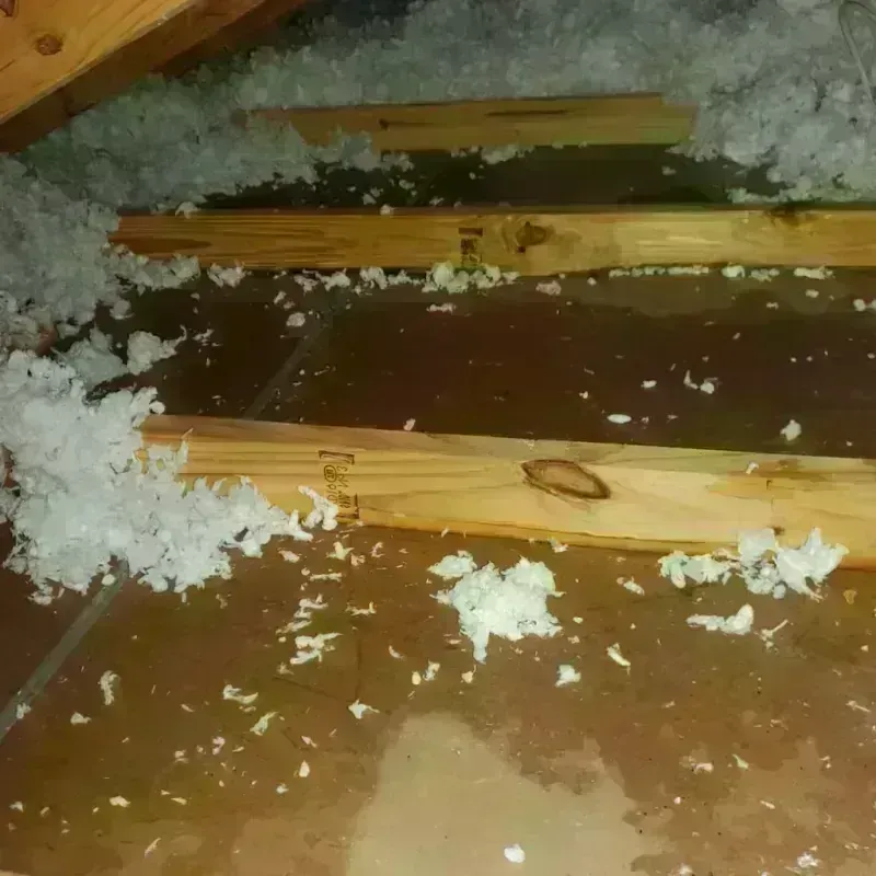 Attic Water Damage in Castaic, CA