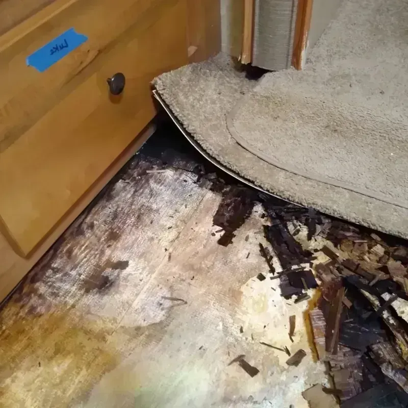 Best Wood Floor Water Damage Service in Castaic, CA